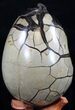 Septarian Dragon Egg Geode - Crystal Filled #37364-4